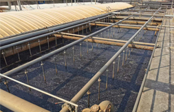 聯(lián)測(cè)溶解氧儀助力荊門(mén)格林美污水處理